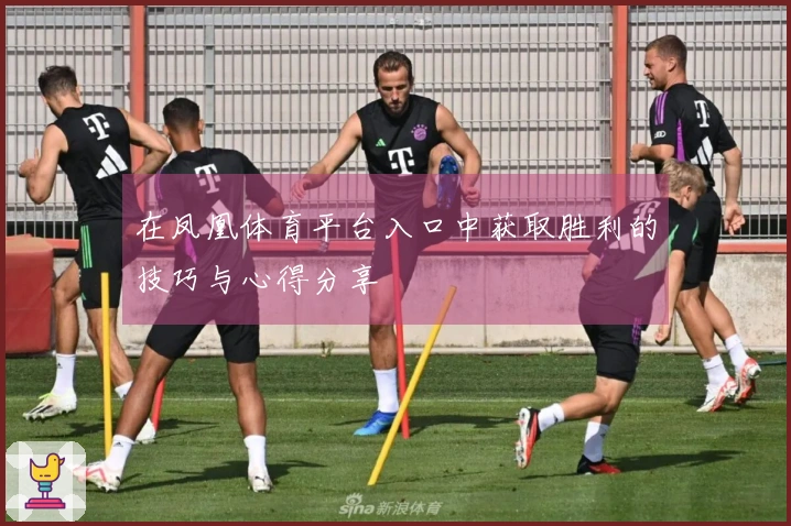 在凤凰体育平台入口中获取胜利的技巧与心得分享